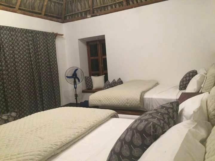 اتاق لوکس, Pacifico El Paredon