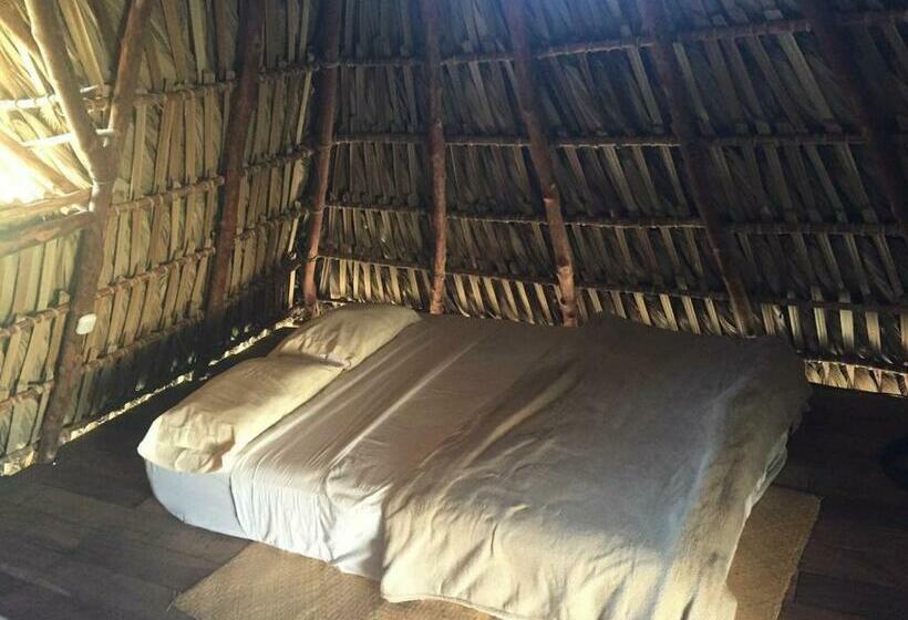 اتاق کلاسیک چهارنفره, Pacifico El Paredon