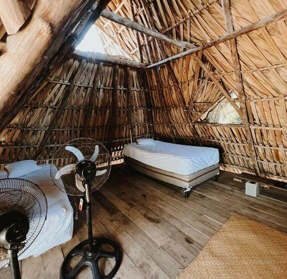 اتاق کلاسیک چهارنفره, Pacifico El Paredon