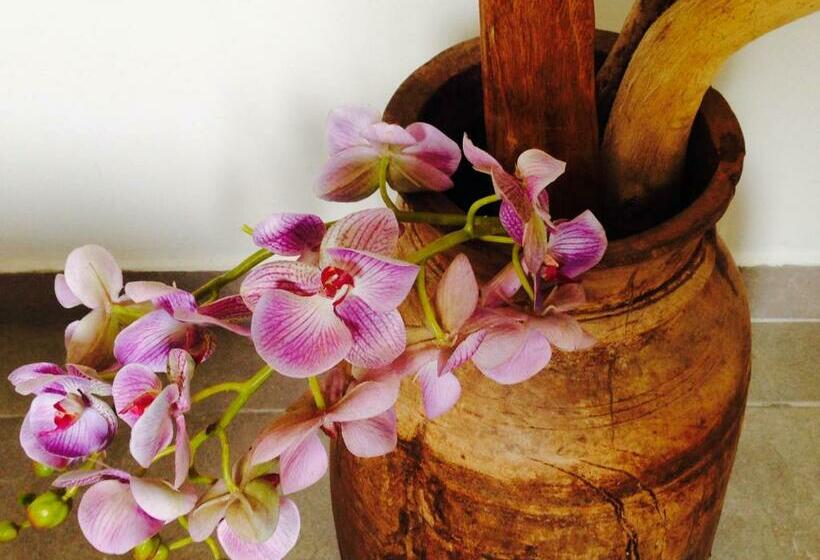 اتاق استاندارد, Villa D’ô