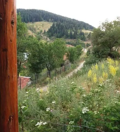 اتاق استاندارد با چشم‌انداز کوهستان, Villa Vrben
