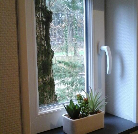 Бунгало Стандарт, Chambre D Hôte De La Rotterie