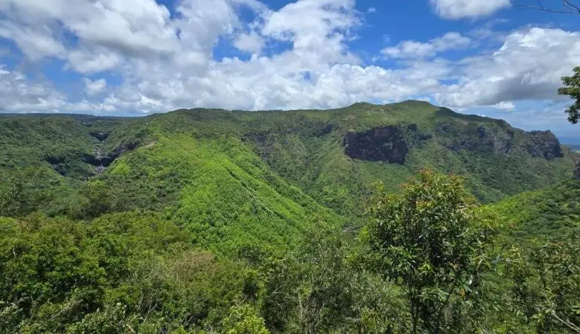 1 Bedroom Apartment Mountain View, Green Discovery B&b Tamarind Falls 7 Cascades