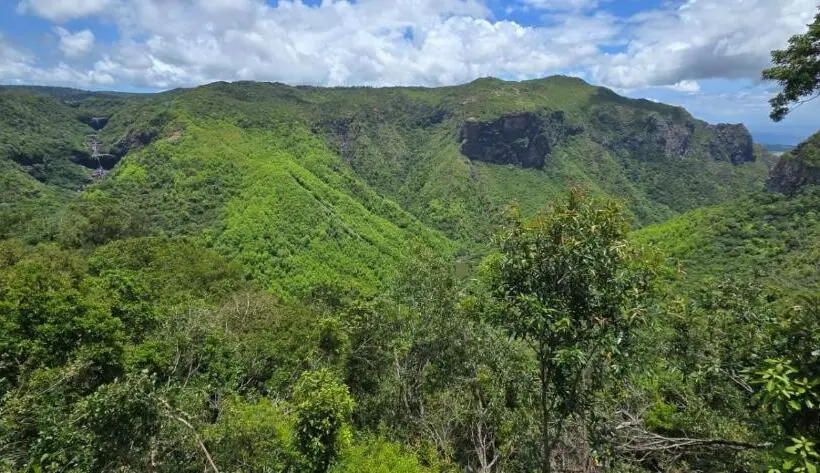 1 Bedroom Apartment Mountain View, Green Discovery B&b Tamarind Falls 7 Cascades