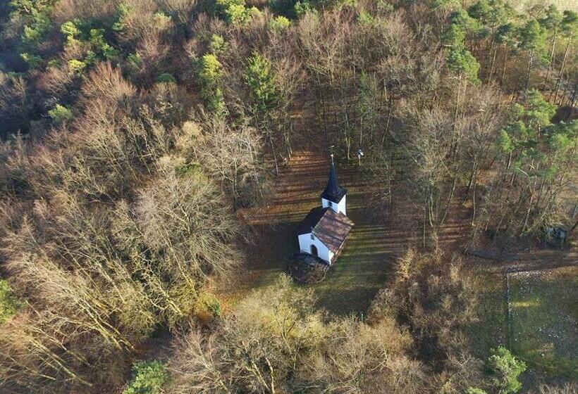 Номер Deluxe, Gästehaus Ingrid