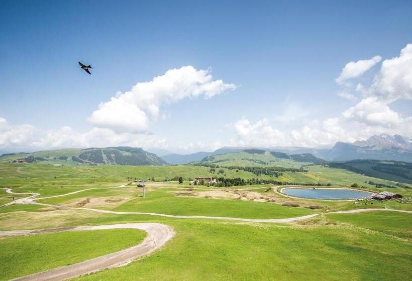 اتاق استاندارد, Goldknopf