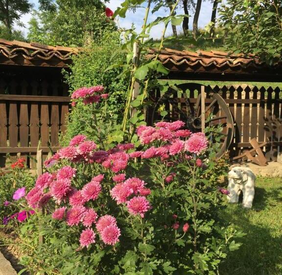 غرفة عائلية, Dyadovata Kashta