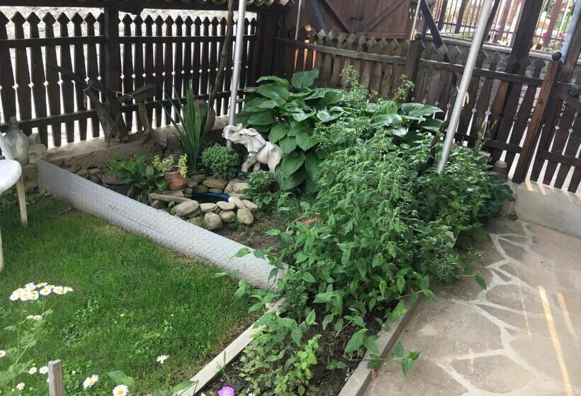 Апартаменты 1 Спальня с Балконом, Dyadovata Kashta