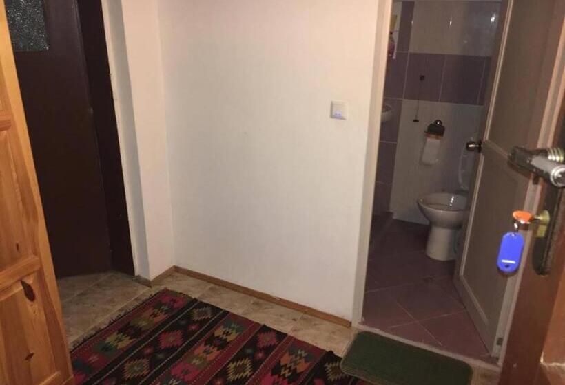 غرفة عائلية, Dyadovata Kashta