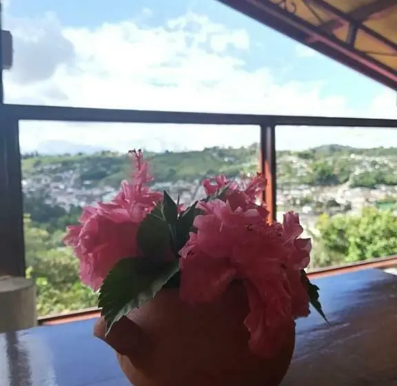 Perhehuone, San Agustín Wayrana