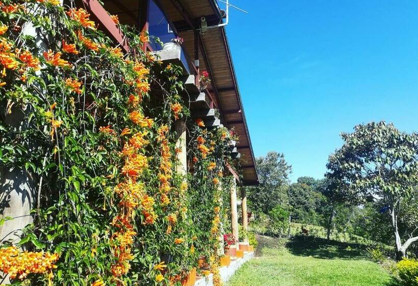 اتاق خانوادگی, San Agustín Wayrana