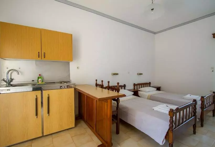 استودیوی استاندارد با چشم‌انداز دریا, Irene Hotel Leros