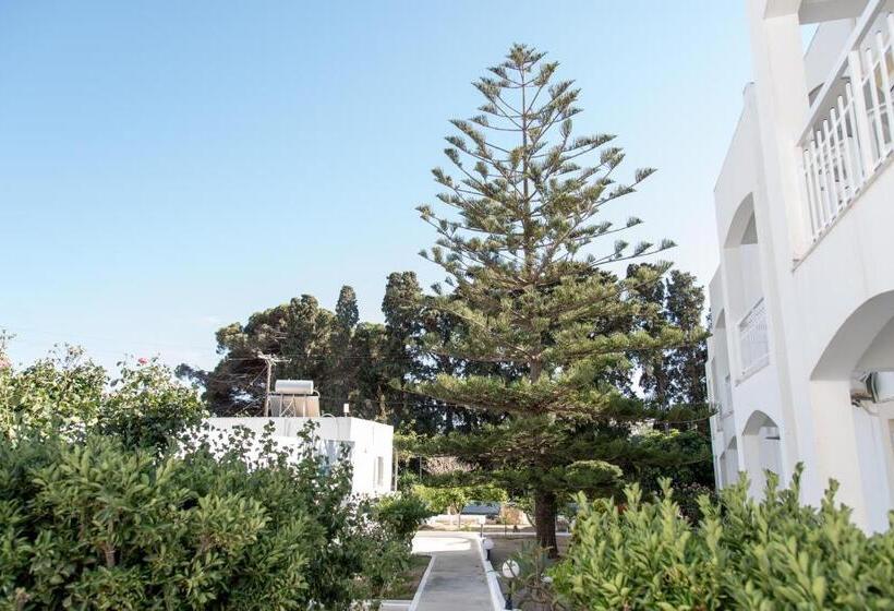 Студия Стандарт, Irene Hotel Leros