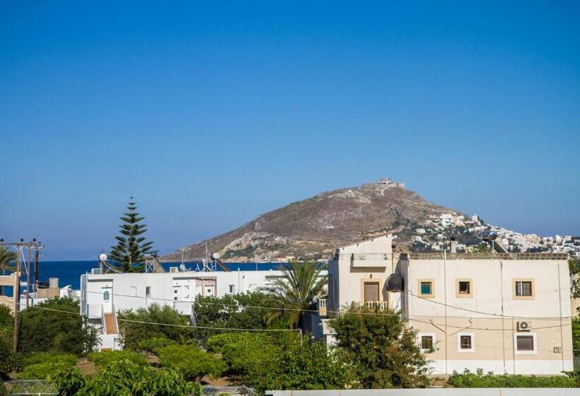 استودیوی استاندارد با چشم‌انداز دریا, Irene Hotel Leros