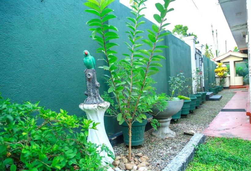 스탠다드 룸, Amara Guest