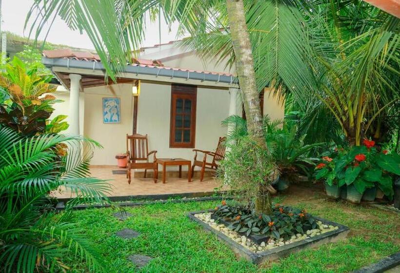 수피리어 트리플 룸, Amara Guest