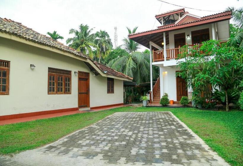 디럭스 룸, Amara Guest