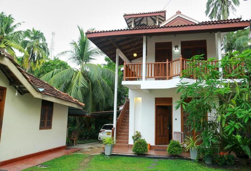 디럭스 룸, Amara Guest