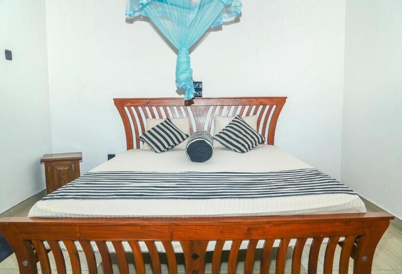 디럭스 룸, Amara Guest