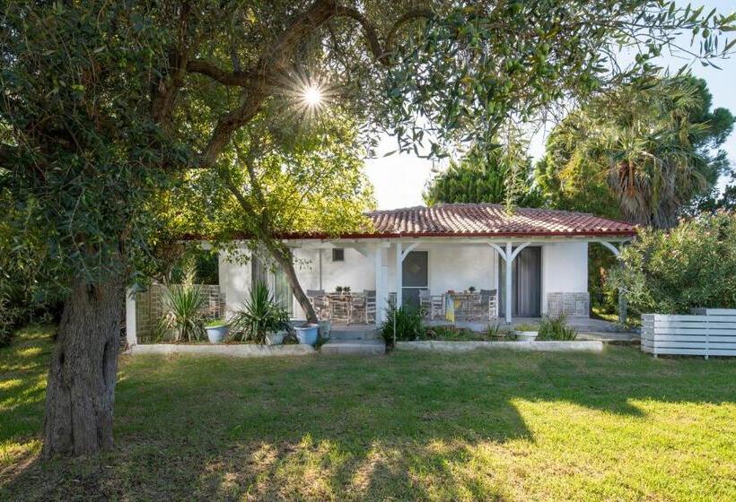 בונגלו סטנדרט עם נוף לגינה, Villa Maria