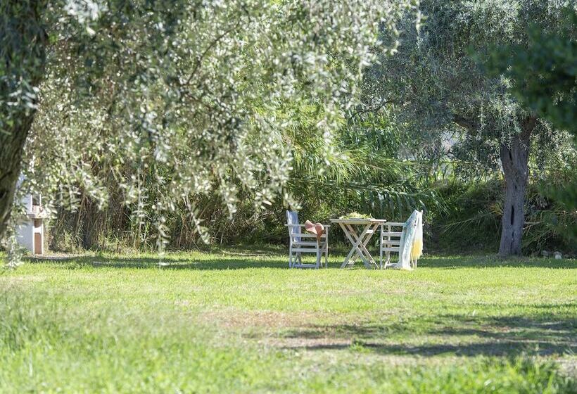 בקתה סטנדרטית, Villa Maria