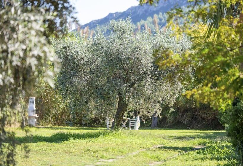 בקתה סטנדרטית, Villa Maria