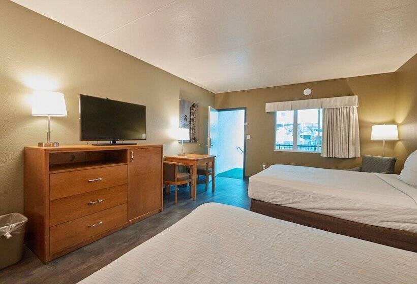 غرفة قياسية, Adventureland Inn