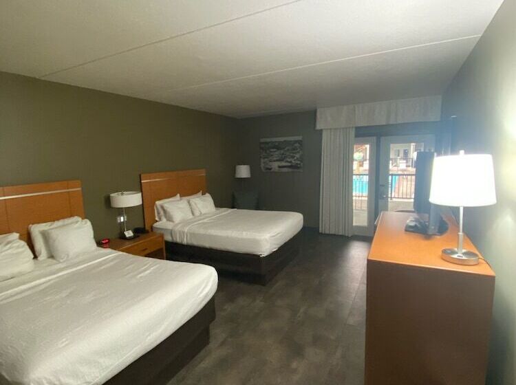 스탠다드 룸, Adventureland Inn