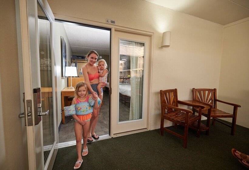 غرفة قياسية, Adventureland Inn