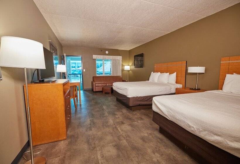 غرفة قياسية, Adventureland Inn