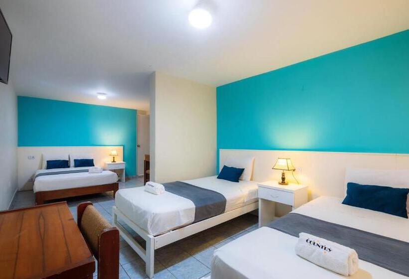 스탠다드 트리플 룸, Country Trujillo