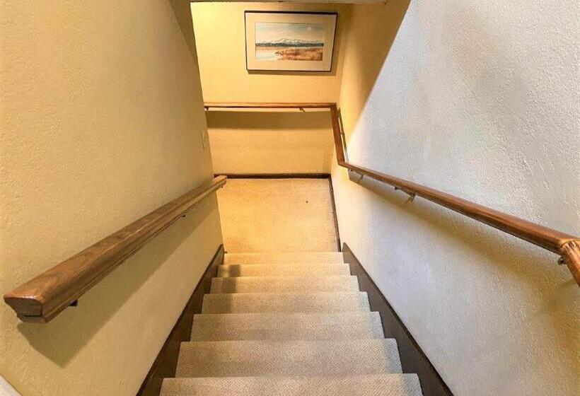 غرفة قياسية, Fairway Forest