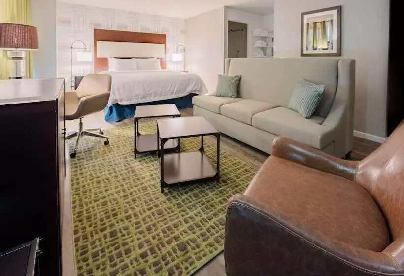 キングサイズベッドのスタンダードルーム, Hampton Inn & Suites Washington Dcnavy Yard
