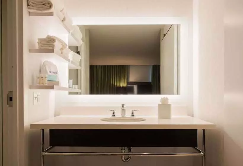 身障者適用ダブルベッド付きスタンダードルーム, Hampton Inn & Suites Washington Dcnavy Yard