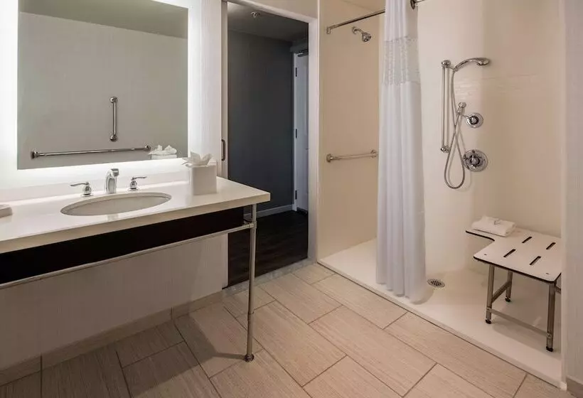 身障者適用ダブルベッド付きスタンダードルーム, Hampton Inn & Suites Washington Dcnavy Yard