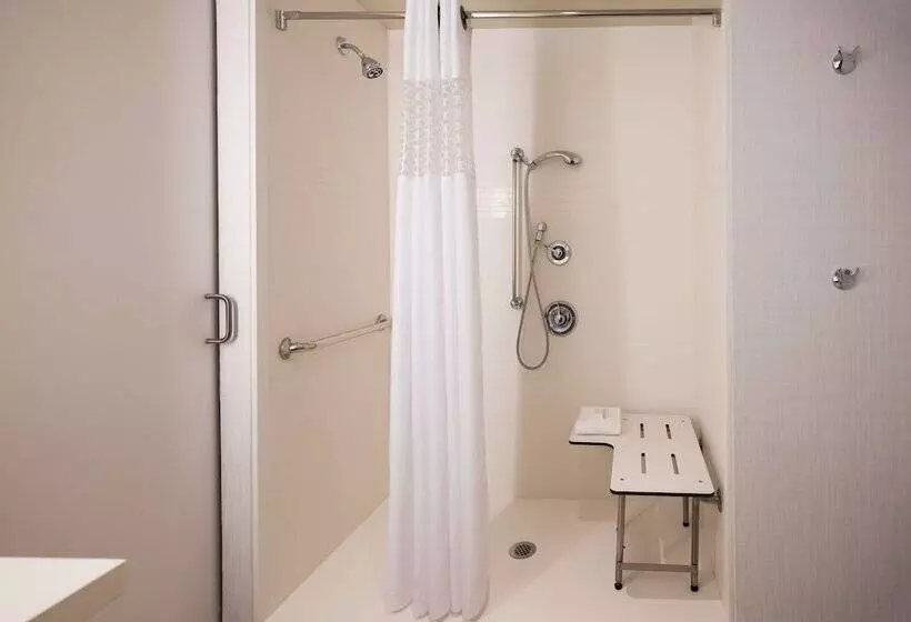 身障者適用ダブルベッド付きスタンダードルーム, Hampton Inn & Suites Washington Dcnavy Yard