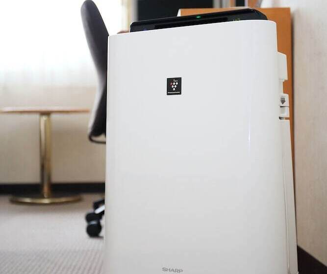 スタンダードルーム, Toyooka Sky