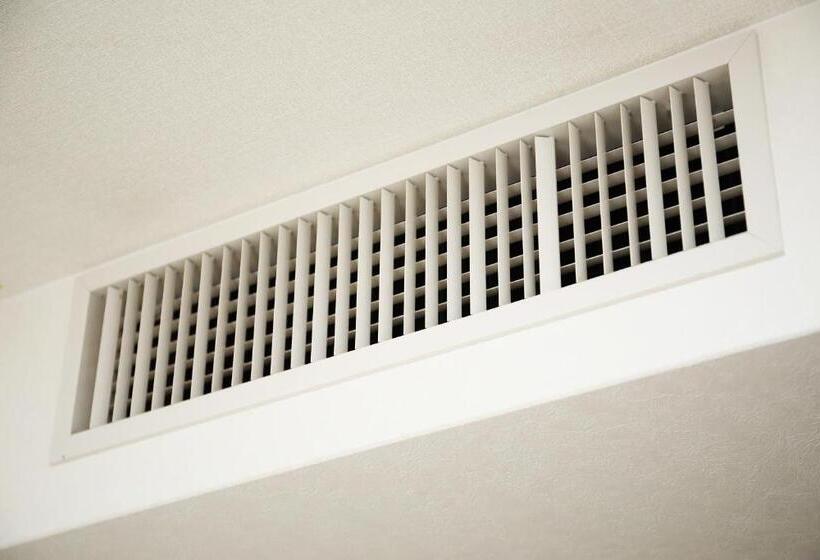 スタンダードルーム, Toyooka Sky