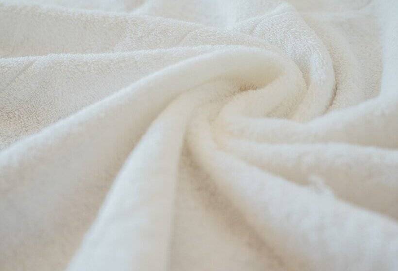 اتاق استاندارد, Kamenoi Hotel Okunikko