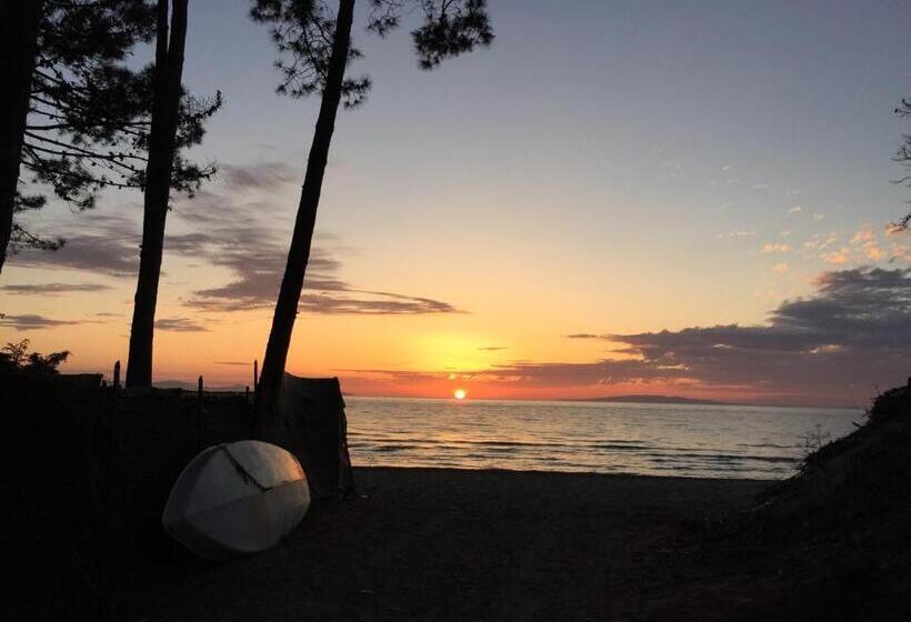 חדר סטנדרט יחיד, Arli Hotel Hideaway Punta Ala   Adults Only