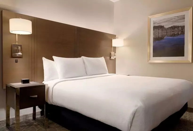 Standard-studio Parivuode, Embassy Suites By Hilton The Woodlands At Hughes Landing