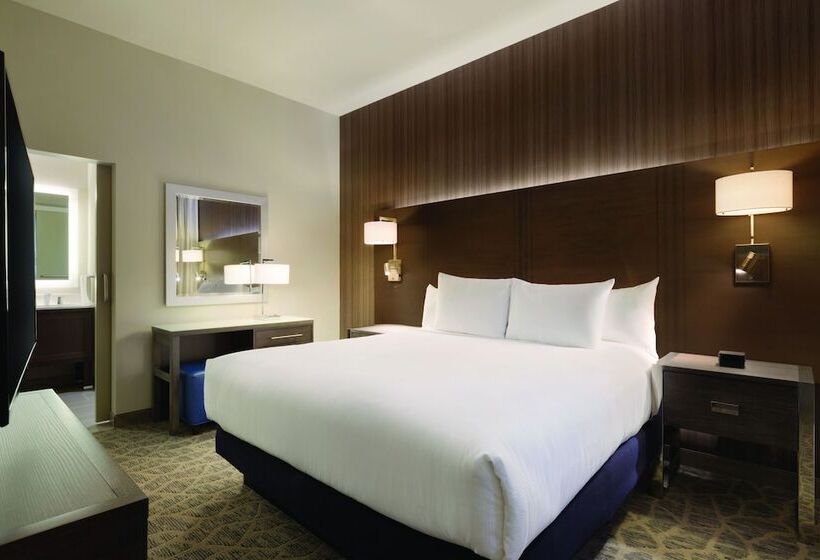 إستوديو قياسى سرير مزدوج, Embassy Suites By Hilton The Woodlands At Hughes Landing