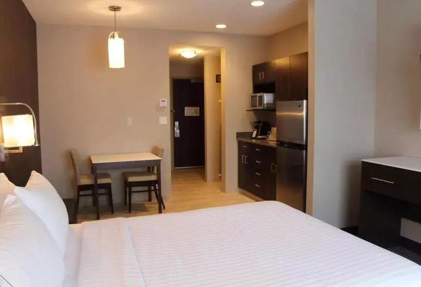 スーペリアシングルルーム, Holiday Inn Express & Suites Cold Lake, An Ihg