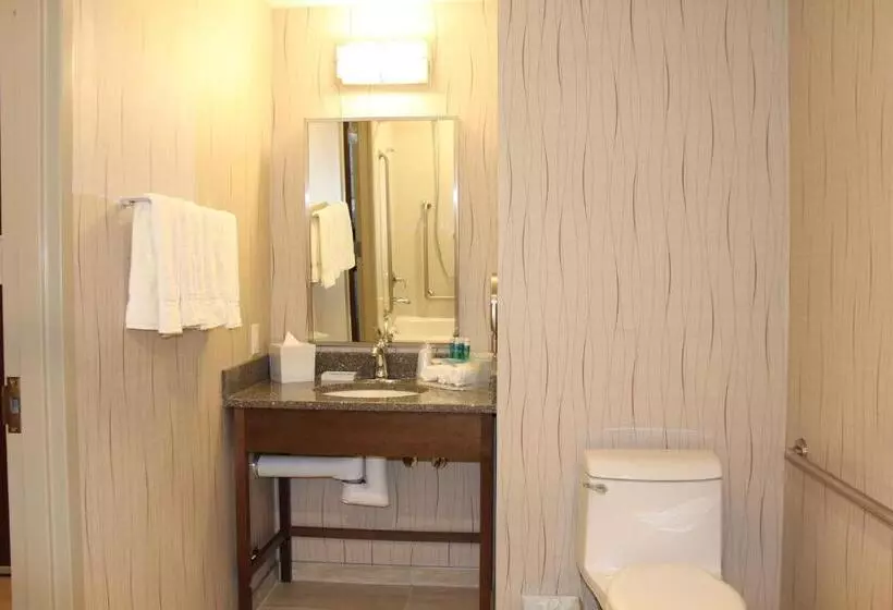 身障者適用スタンダードルーム, Holiday Inn Express & Suites Cold Lake, An Ihg