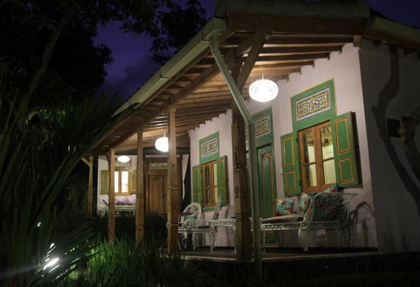 스탠다드 룸 킹사이즈 침대, Mojo Resort