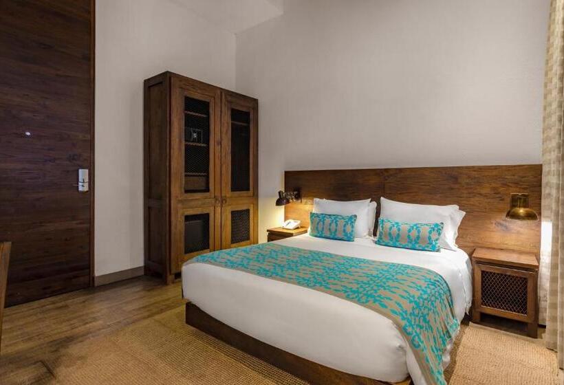 غرفة سوبيريور, Sophia