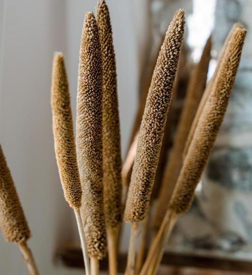 غرفة ديلوكس, Le 5 Terre La Spezia