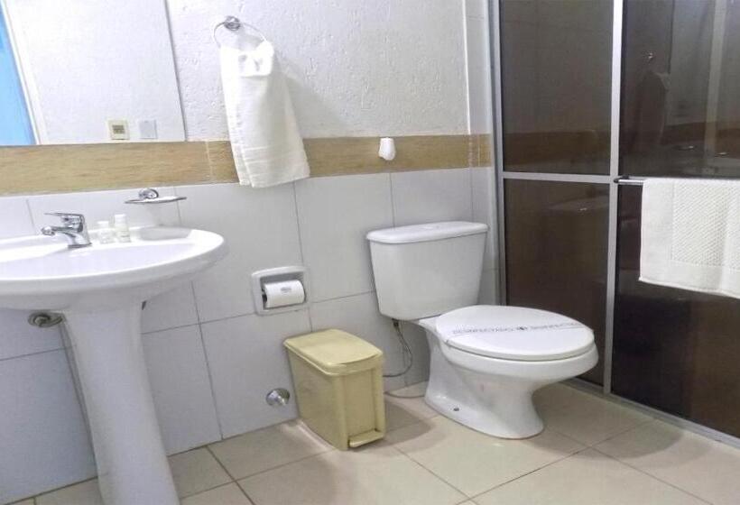 اتاق استاندارد, Danieri Asuncion