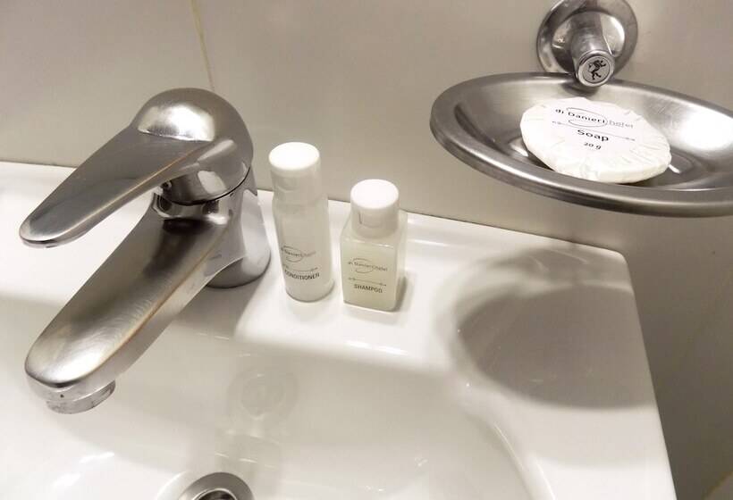 اتاق استاندارد, Danieri Asuncion