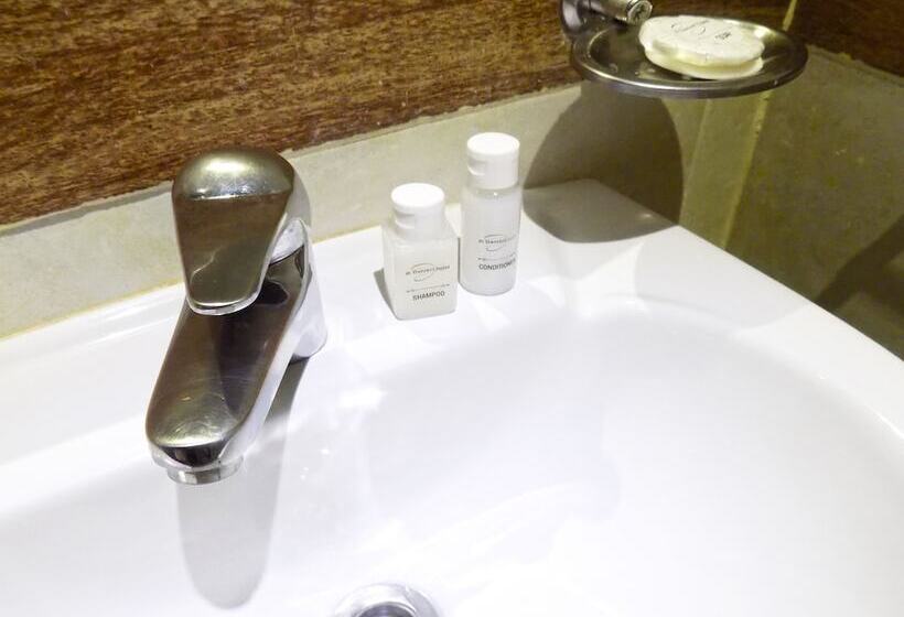 اتاق استاندارد, Danieri Asuncion